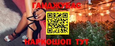 стаф Будённовск