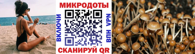 Псилоцибиновые грибы мухоморы  Воронеж 