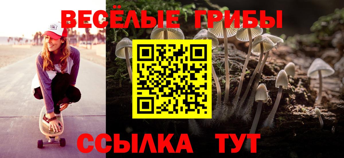 Псилоцибиновые грибы мицелий  Псилоцибиновые грибы Psilocybine cubensis  где продают   Вход с VPN  Воронеж 